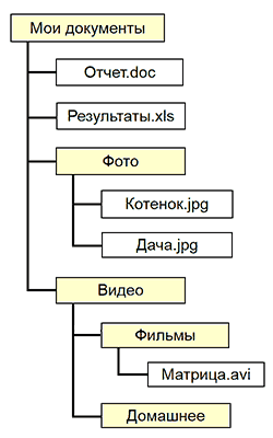 Структура каталогов